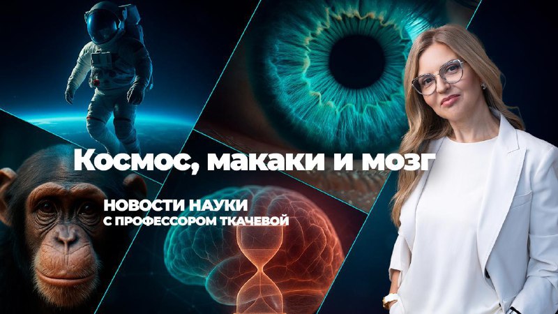 Мы запускаем новую рубрику — «Новости науки с профессором Ткачевой»!Теперь вы будете первыми узнават...