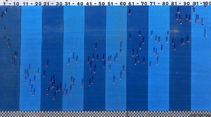 MrBeast, самый популярный ютубер в мире, известный своими масштабными и дорогостоящими шоу, в этот р...