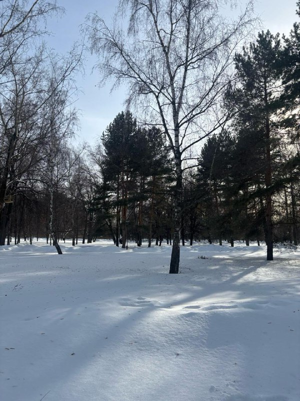 Еще вчера ярко светило солнце, а сегодня снова идет снег. Продолжаем ждать весну!  Фотографии сделал...