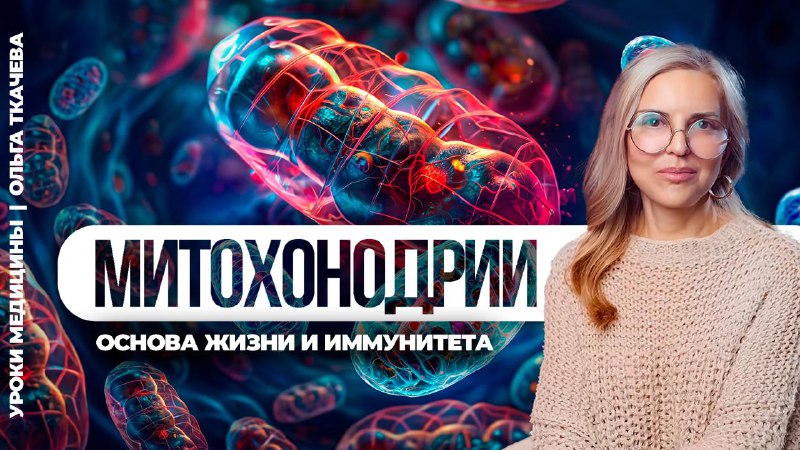 Как лечить старение? Всё дело в митохондриях Митохондрии — это энергостанции наших клеток. От их сос...