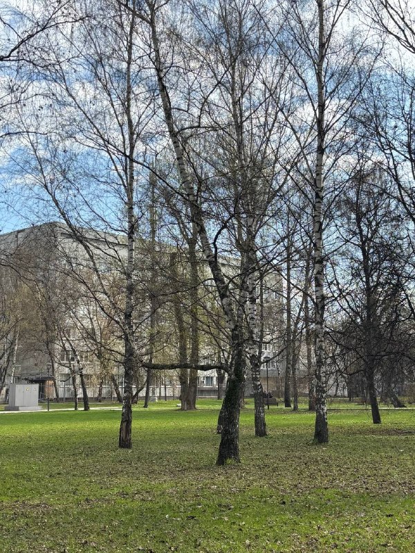 Весенний РГНКЦ. Помните зимние снимки? А я еду выступать в Сенеж. Поделюсь кадрами оттуда