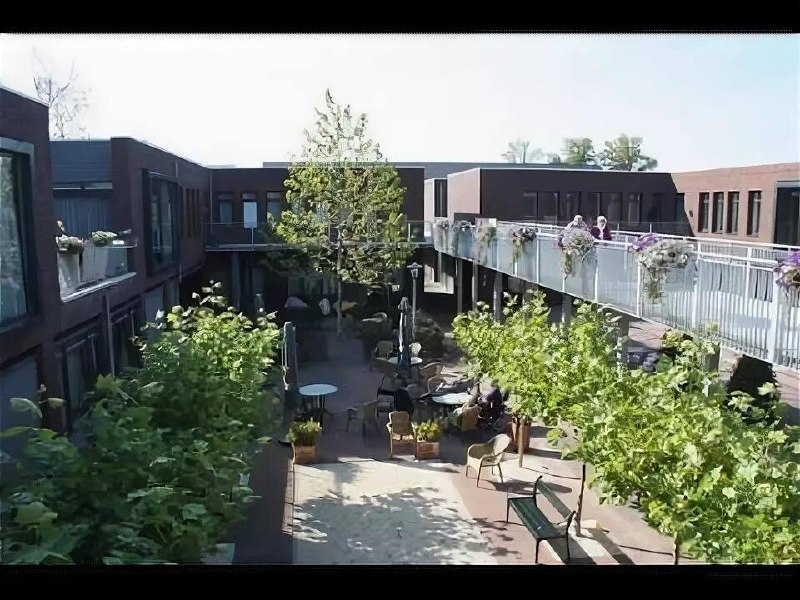 🏘 Деревня для людей с деменциейВ Нидерландах есть необычная деревня Хогевейк (Hogeweyk), неподалёку...