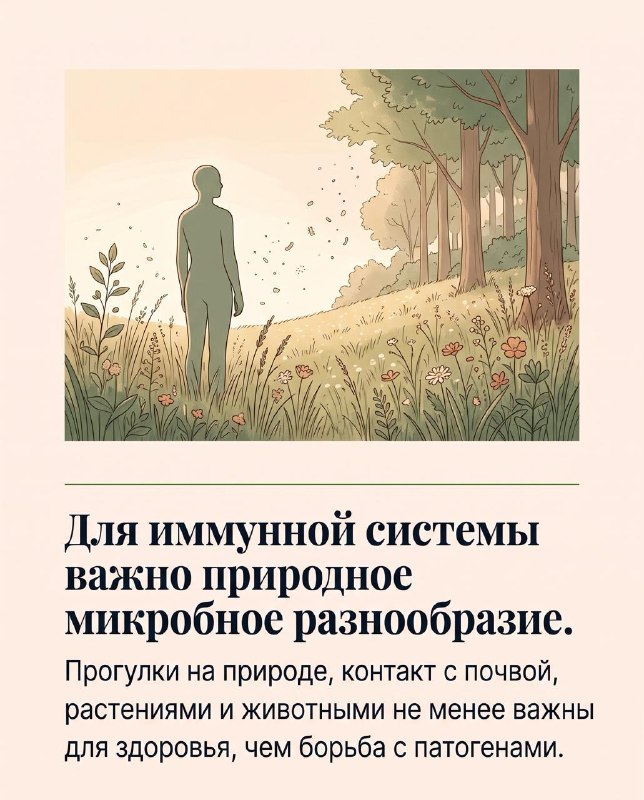Стерильность вредит иммунитету 📌 Проблема в недостатке контакта с полезными микроорганизмами, котор...