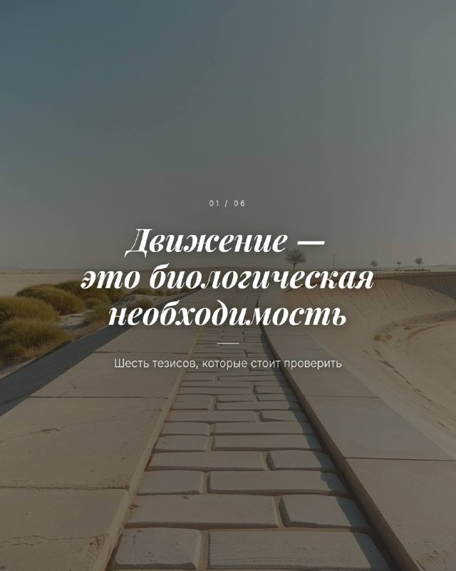 На днях мне попался пост про движение: всего шесть коротких строчек. Материал из тех, что широко рас...