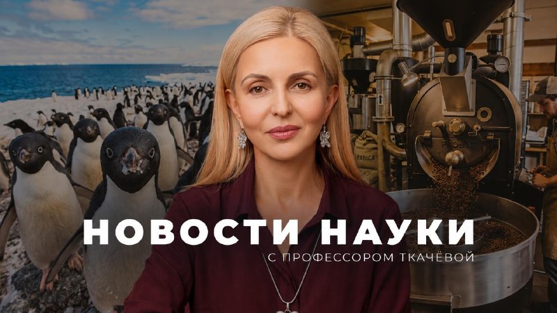 В новом выпуске «Новостей науки» разбираем несколько исследований, целью которых было изучение проце...